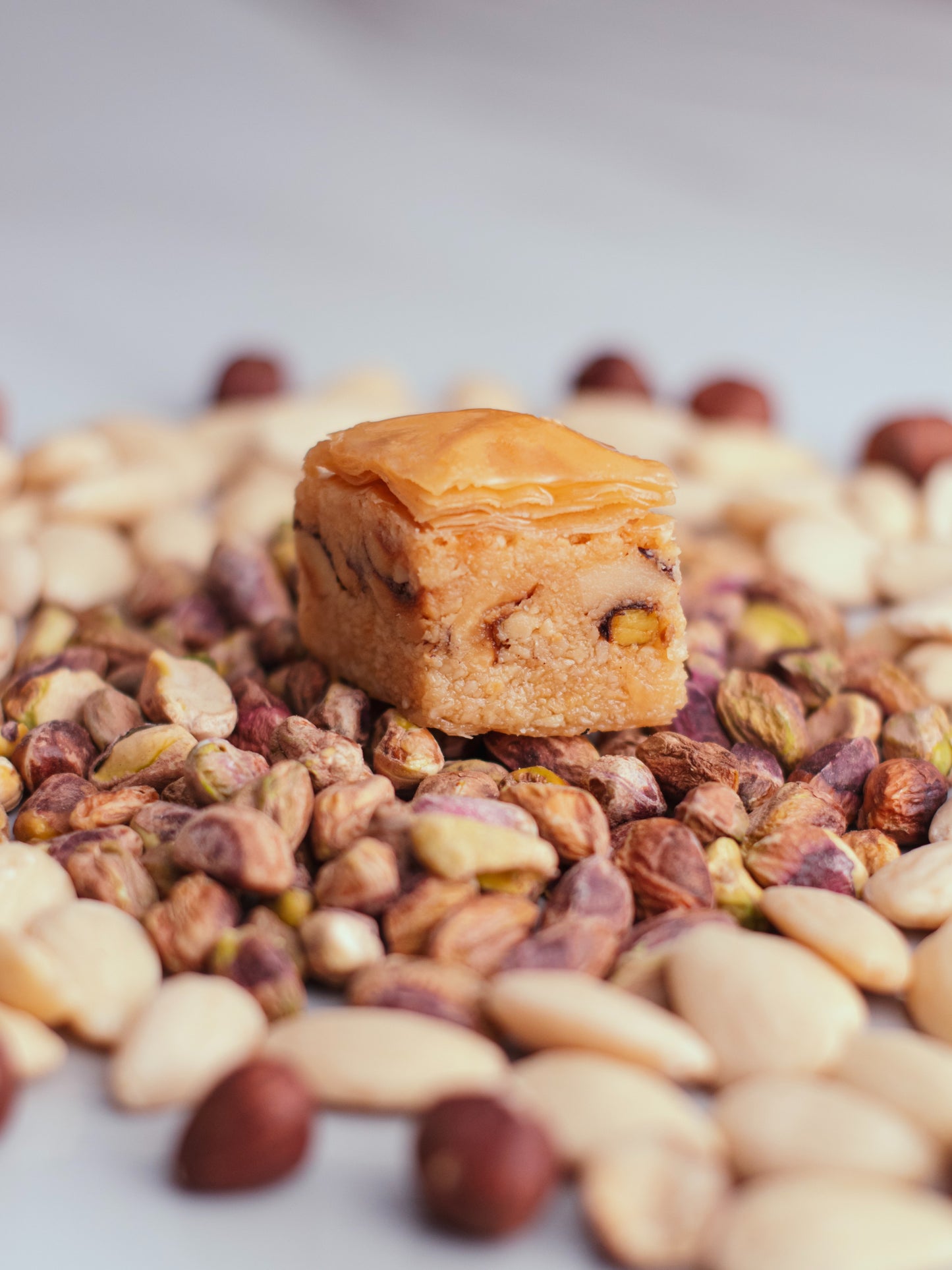 Baklewa Royal